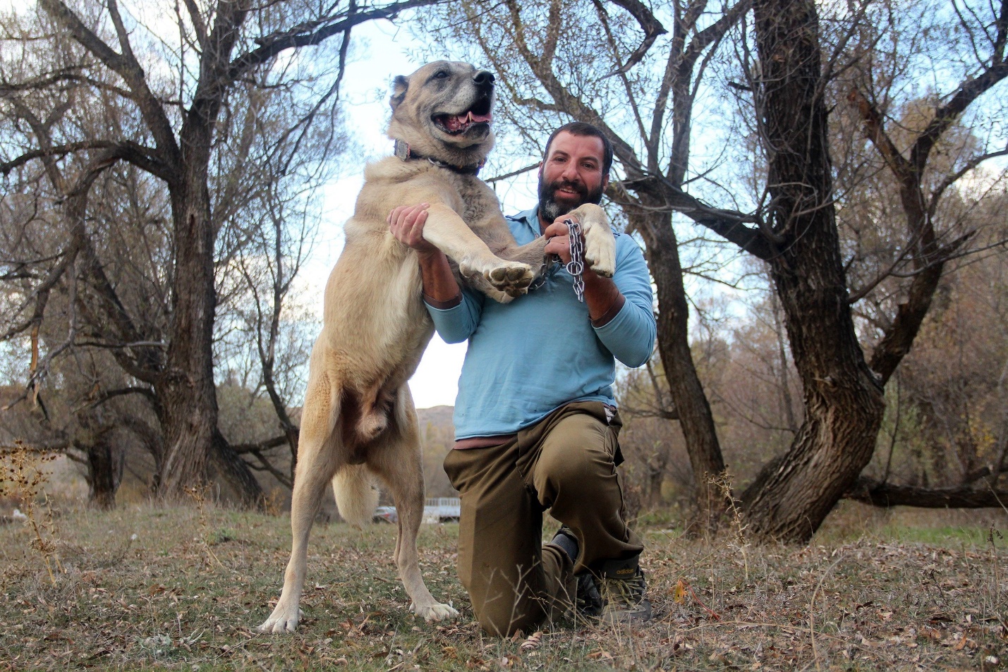 سگ نژاد کانگال (Kangal)